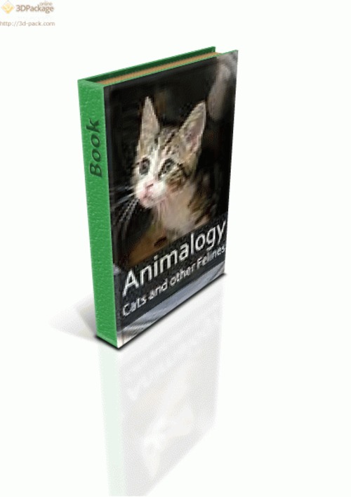 Product picture Animalogy: Cats and Other Felines